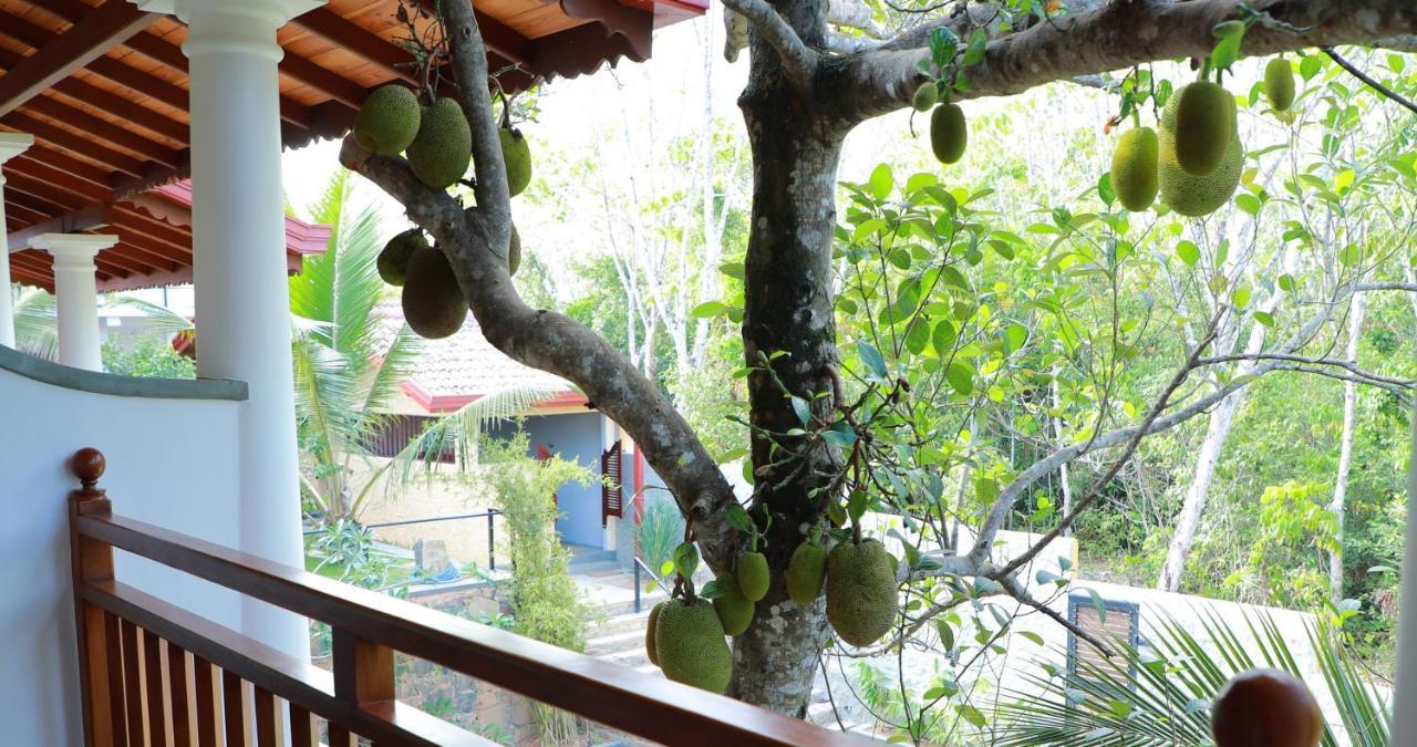 Terrace Garden Ayurveda Resort Велігама Екстер'єр фото