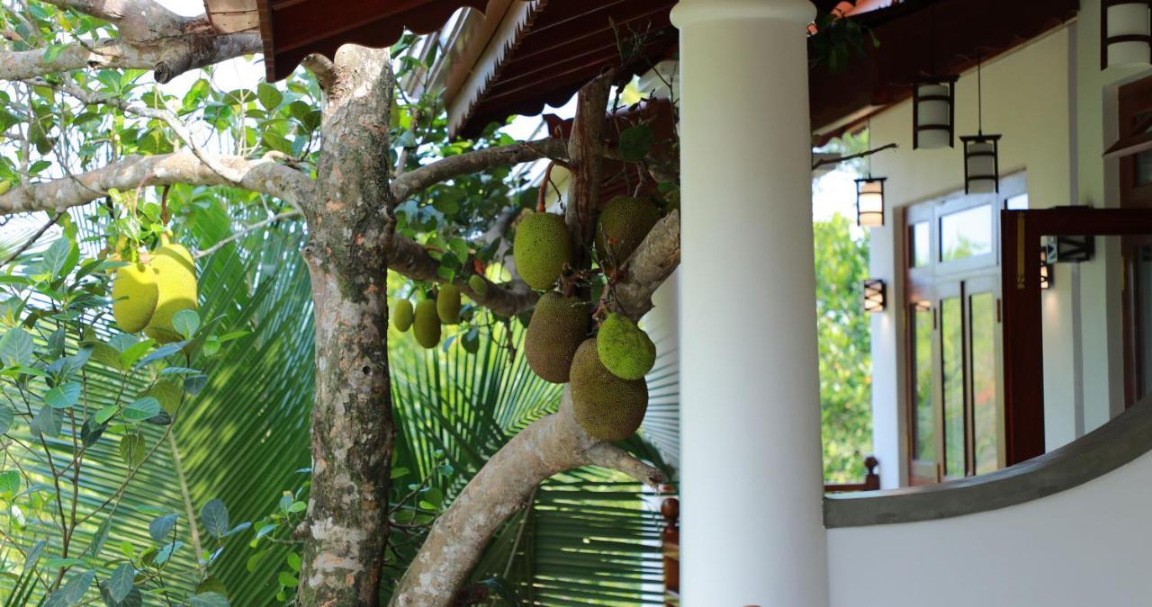 Terrace Garden Ayurveda Resort Велігама Екстер'єр фото