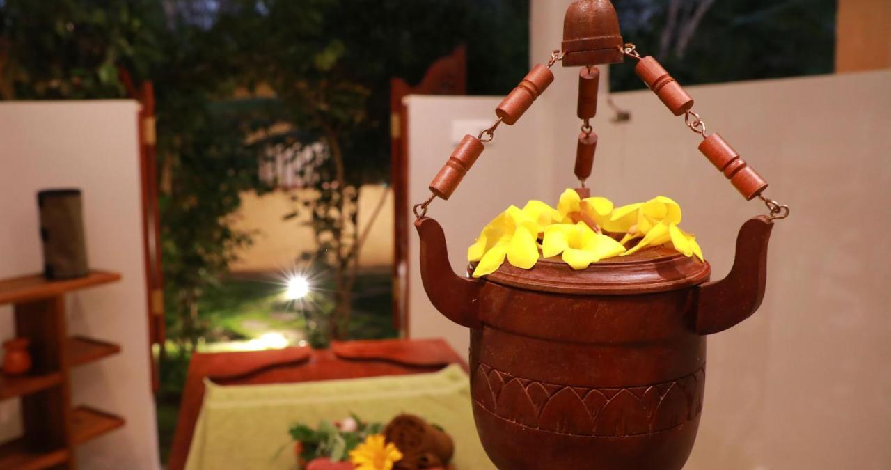 Terrace Garden Ayurveda Resort Велігама Екстер'єр фото