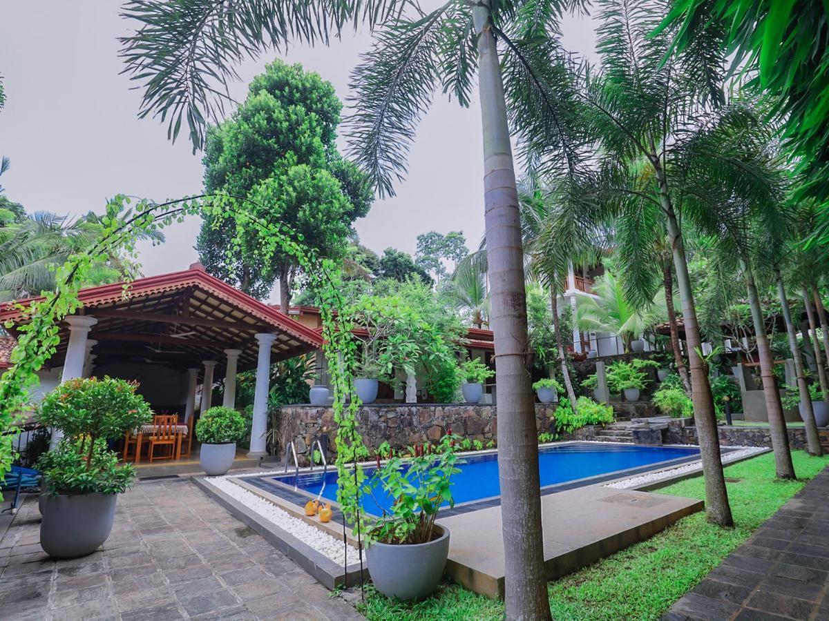 Terrace Garden Ayurveda Resort Велігама Екстер'єр фото