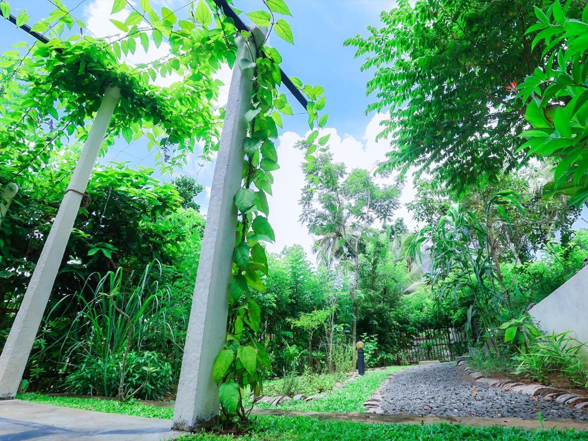 Terrace Garden Ayurveda Resort Велігама Екстер'єр фото