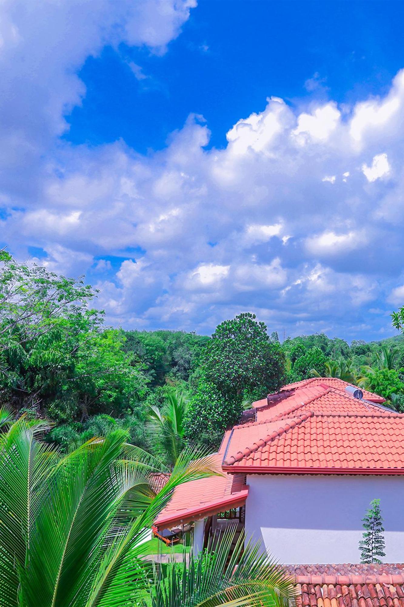 Terrace Garden Ayurveda Resort Велігама Екстер'єр фото
